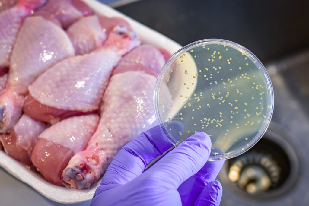 A close-up image of a plate of food with chicken, a common source of salmonella infection, which may lead to a salmonella lawsuit